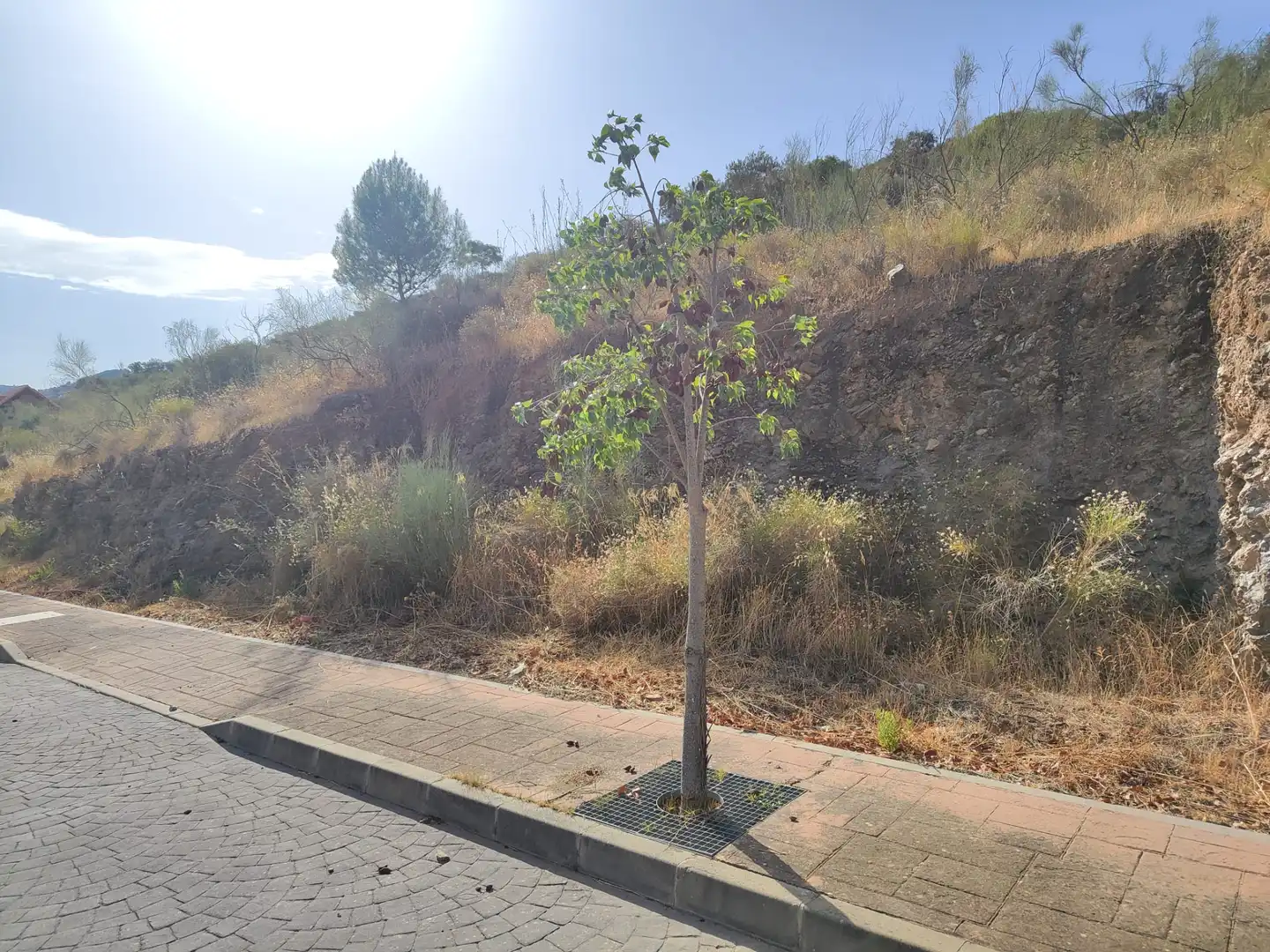 Terreni e lotti in vendita a Terreno Pp. 7 15, imagen 4