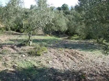 Lands and plots for sale in Lugar Can Segarra