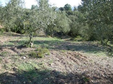 Terreni e lotti in vendita a Lugar Can Segarra