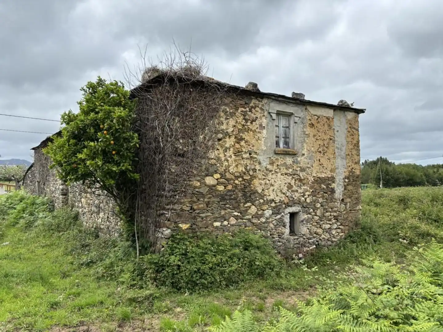 Vista exterior de Finca rústica en venda en Ortigueira amb Jardí privat