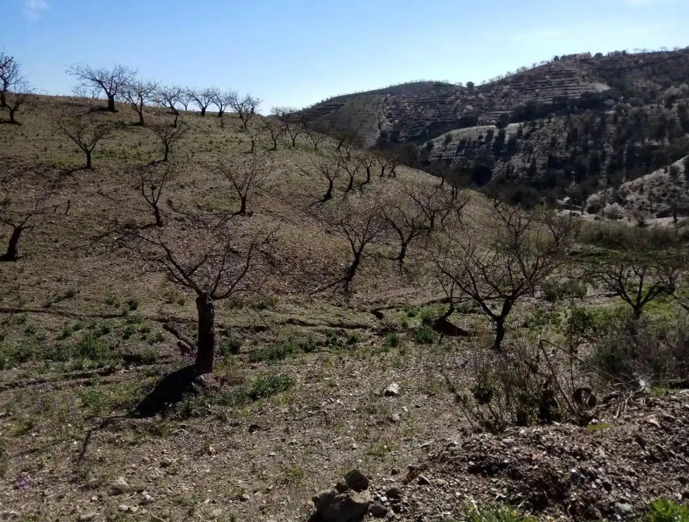 Terreny rústic en venda a Puerto Lumbreras, imagen 14