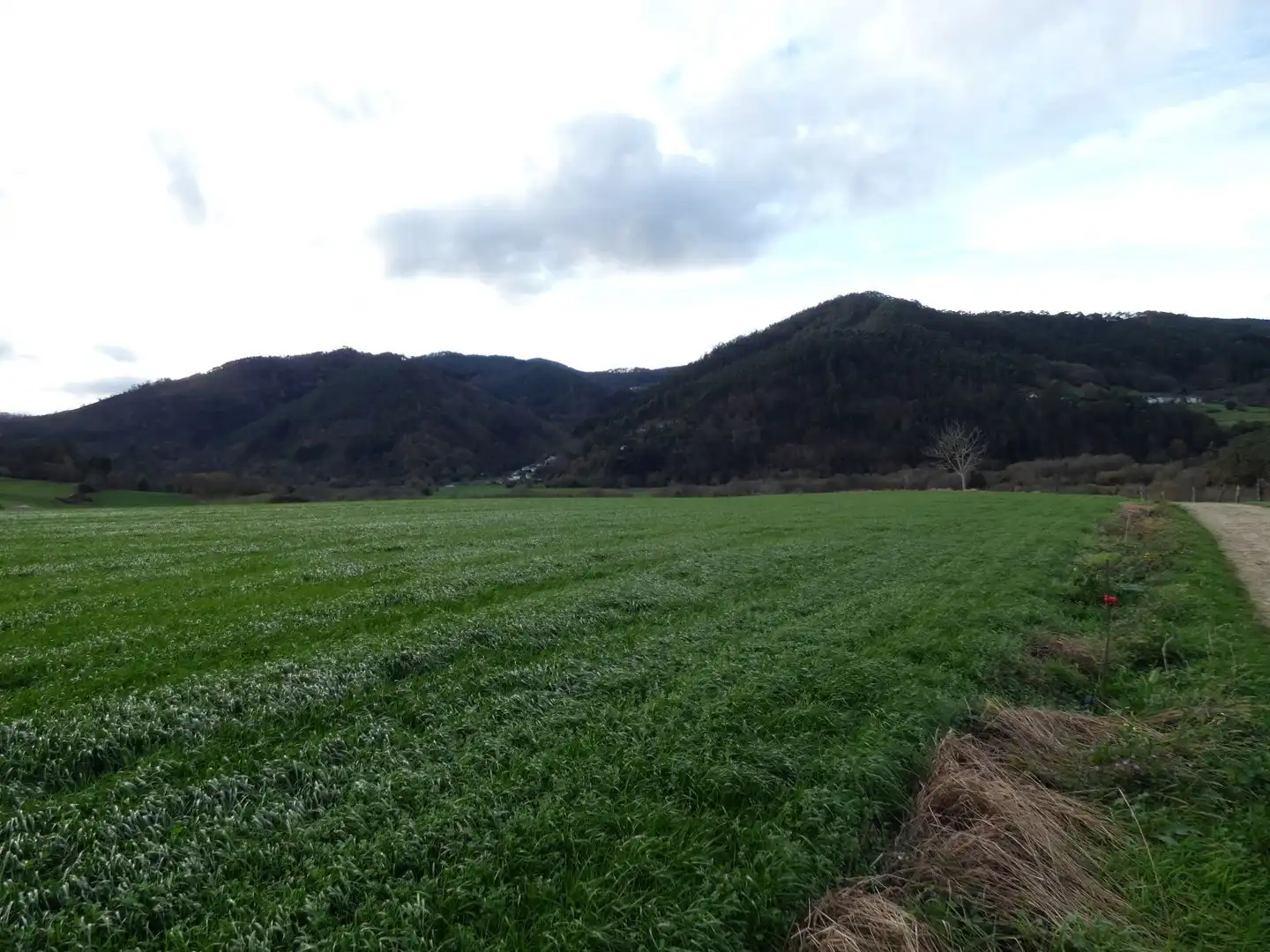 Grundstücke und Bauplätze zum Verkauf in Valdés - Luarca, imagen 6