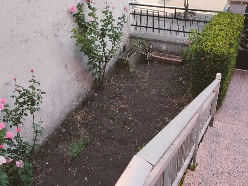 Jardín de Casa o chalet en venta en Agolada, Pontevedra