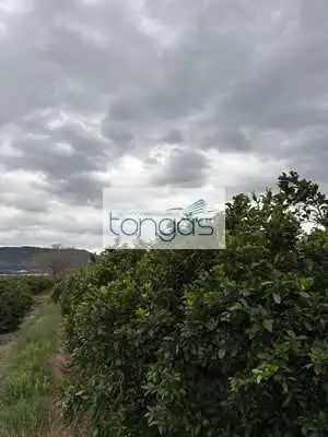 Rustikales Grundstück zum Verkauf in Xàtiva, imagen 7
