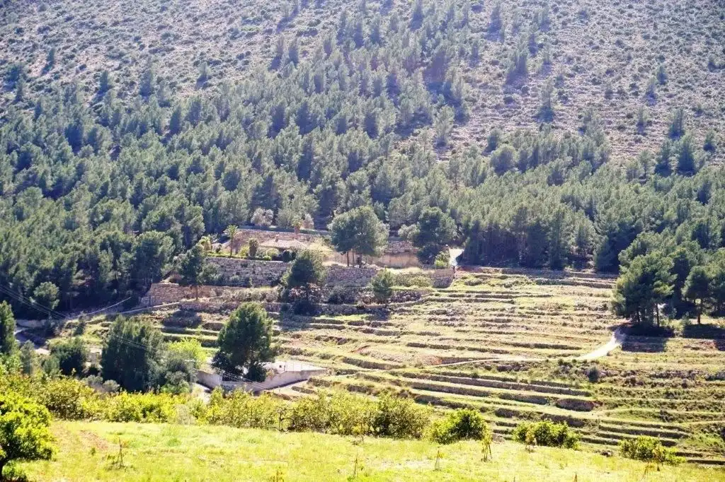 Terreny residencial en venda a Callosa d'en Sarrià, imagen 45