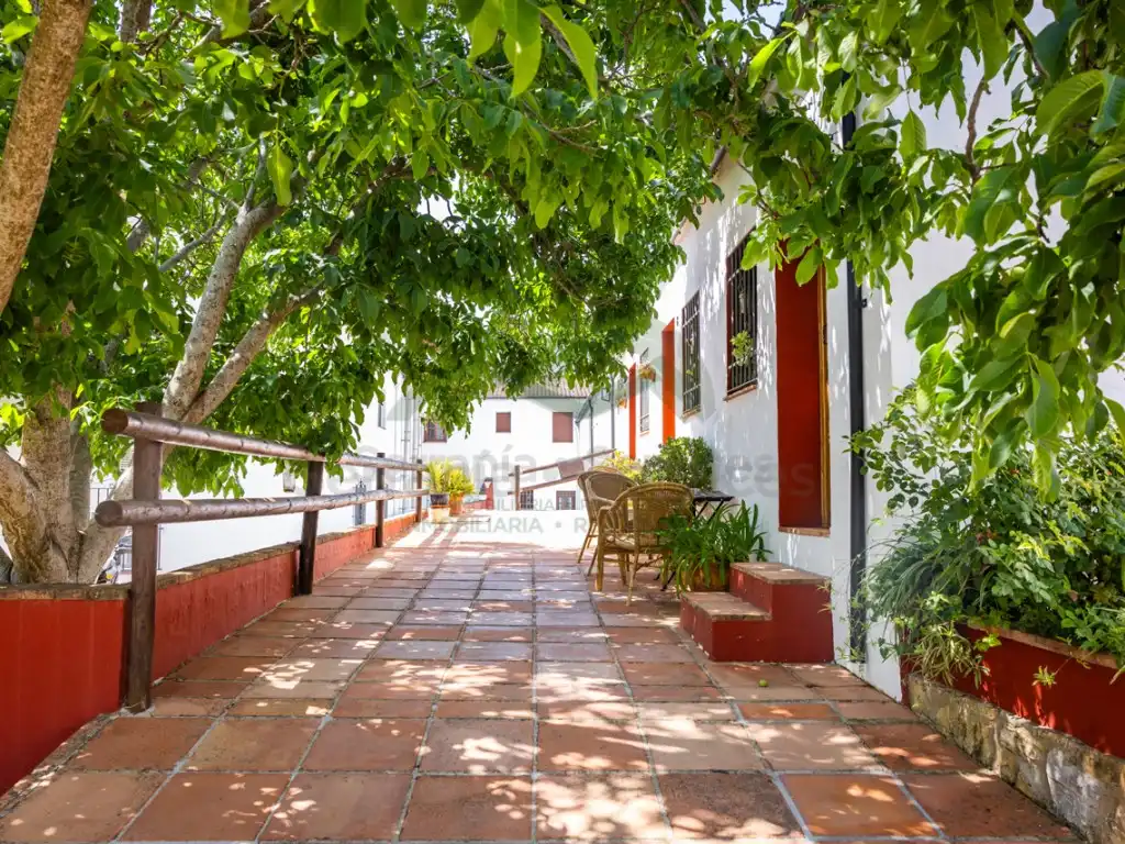 Local comercial en venda a Montejaque, imagen 45