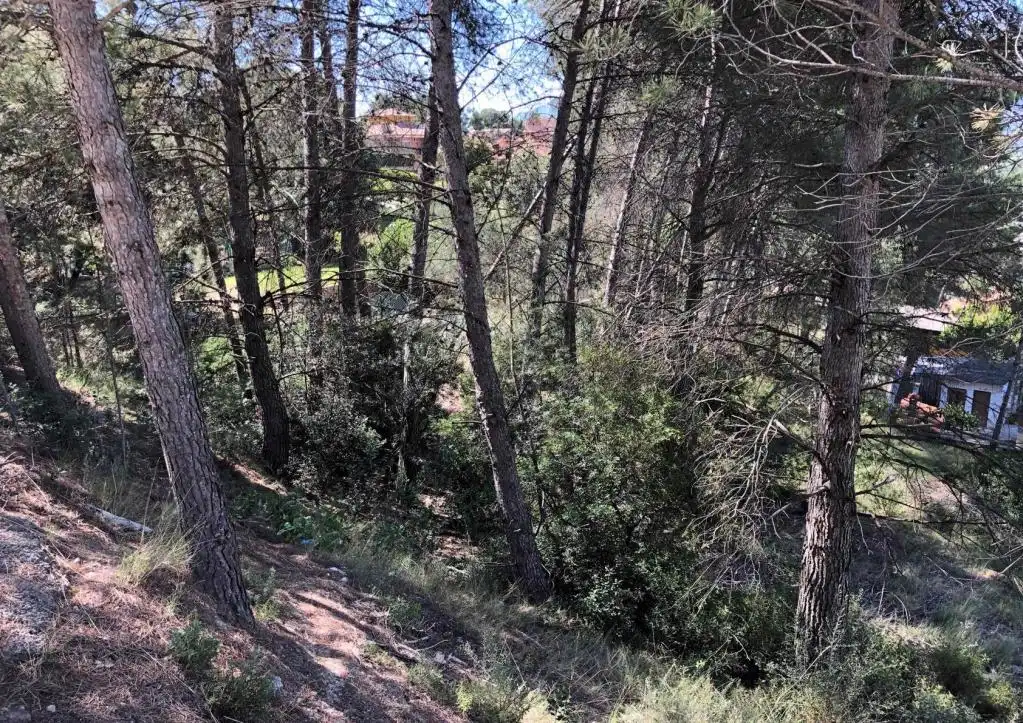 Rural land for sale in PENEDÈS, imagen 3