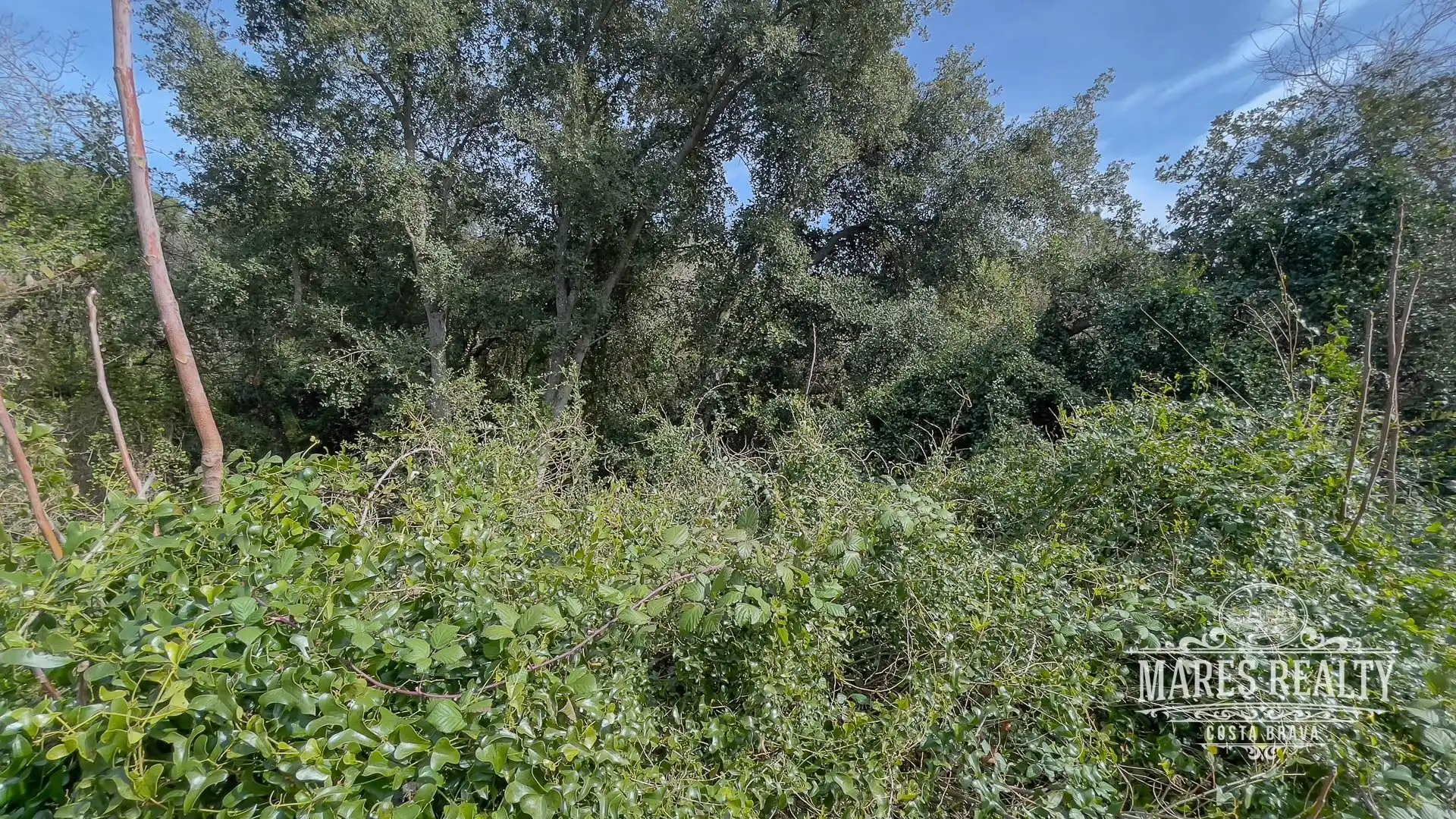 Terrenos y solares en venta en SÓCRATES, imagen 6