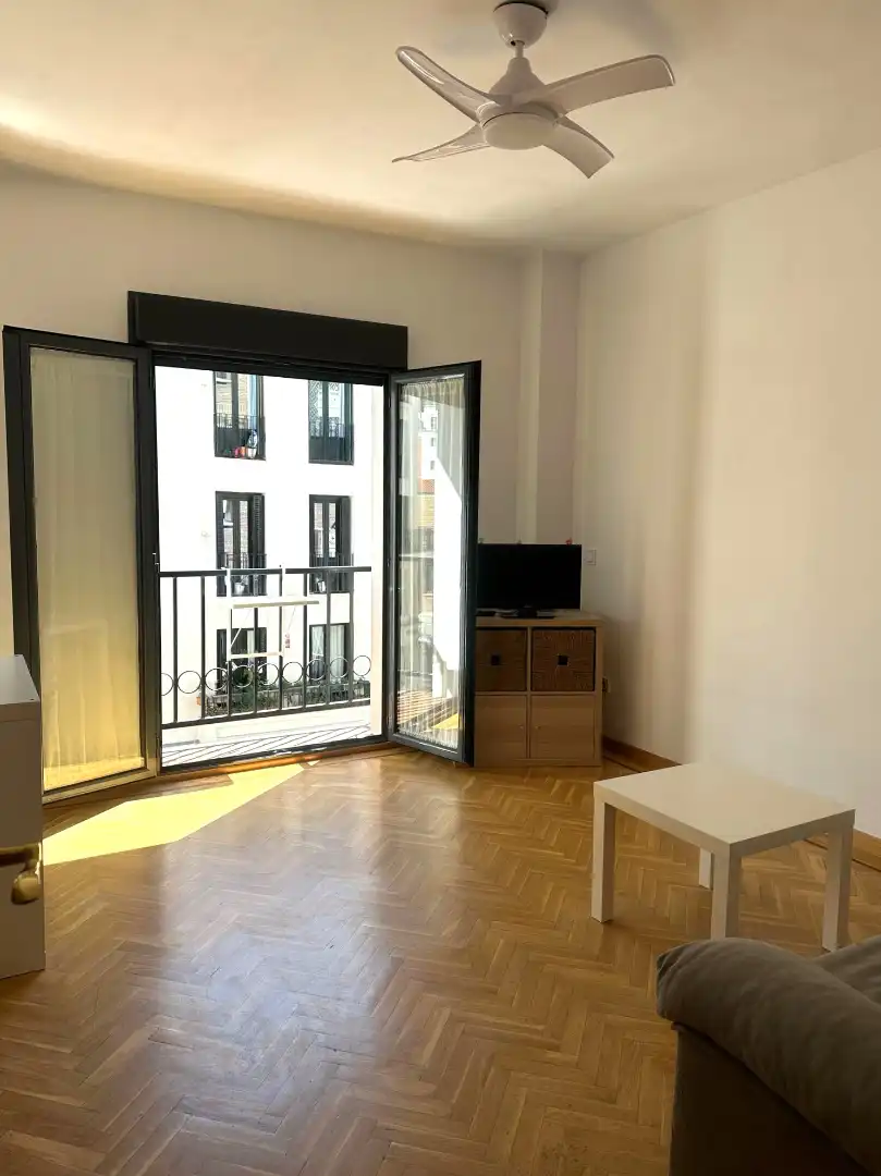 Sala de estar de Piso de alquiler en Madrid con Aire acondicionado, Calefacción y Parquet