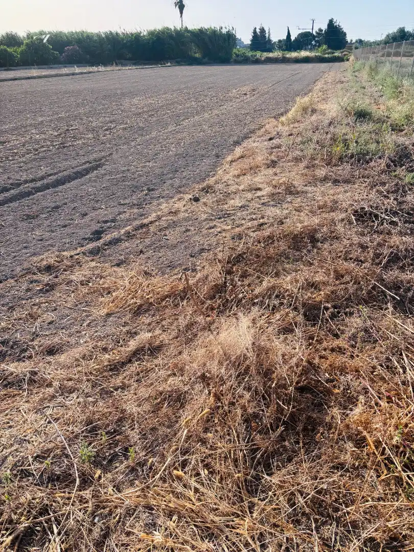 Terrenys i solars en venda a Pedanías Este, imagen 3