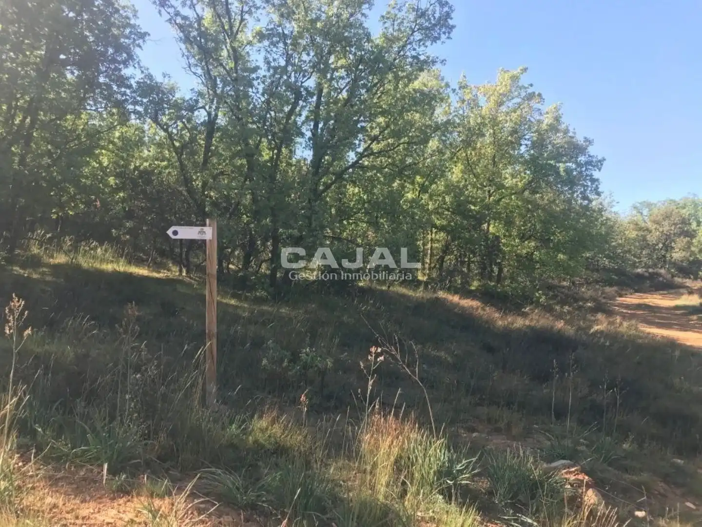 Terreni e lotti in vendita a poligono 6 parcela 6030, imagen 9