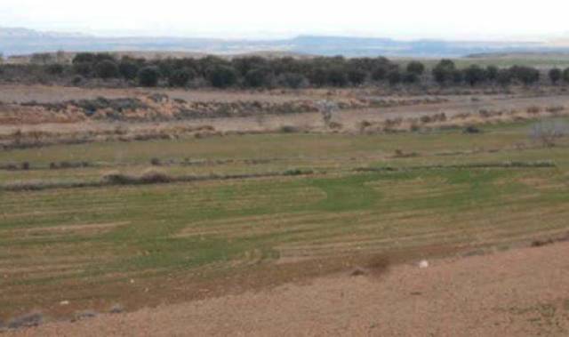 Terreno en Venta en Borja