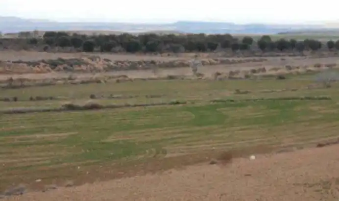 Terreno rustico in vendita a Borja