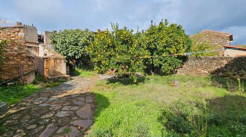 Foto 4 de Finca rústica en venda a Perales del Puerto, Cáceres