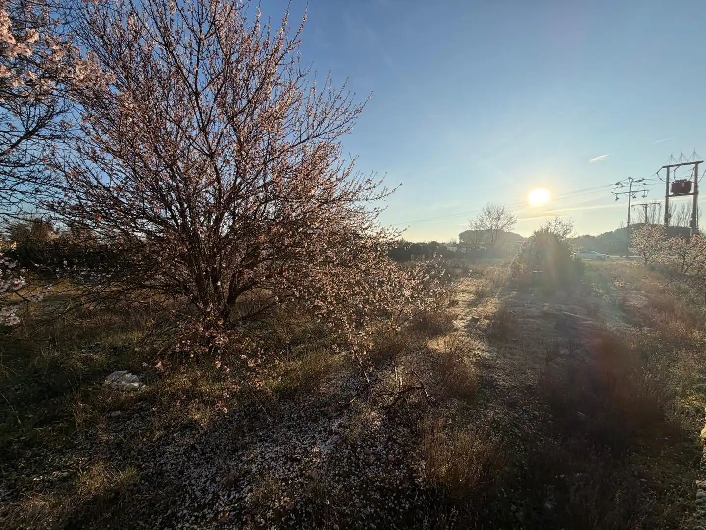 Rural land for sale in Calle San Roque, imagen 5