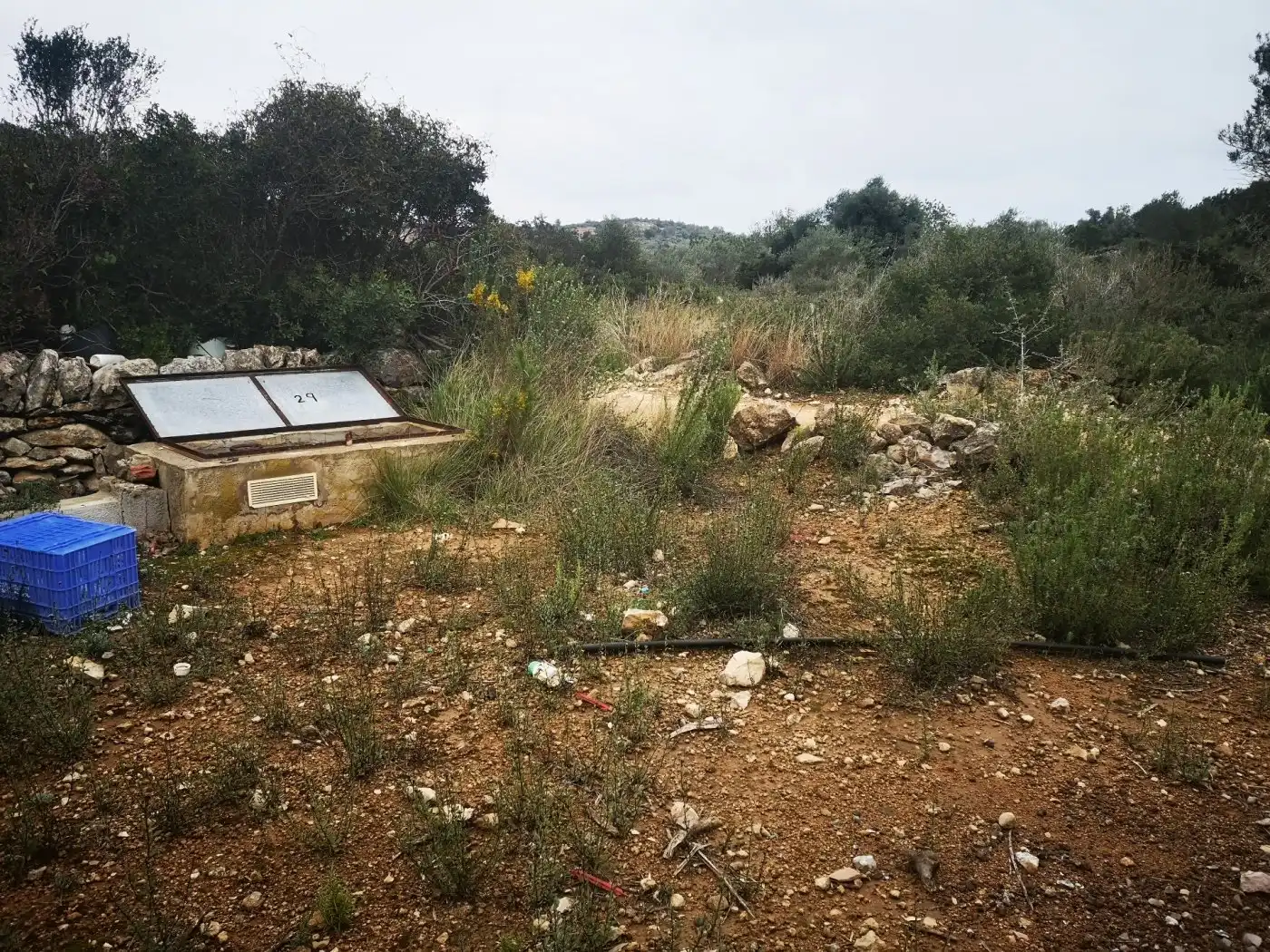 Terreno rustico in vendita a Ulldecona, imagen 7