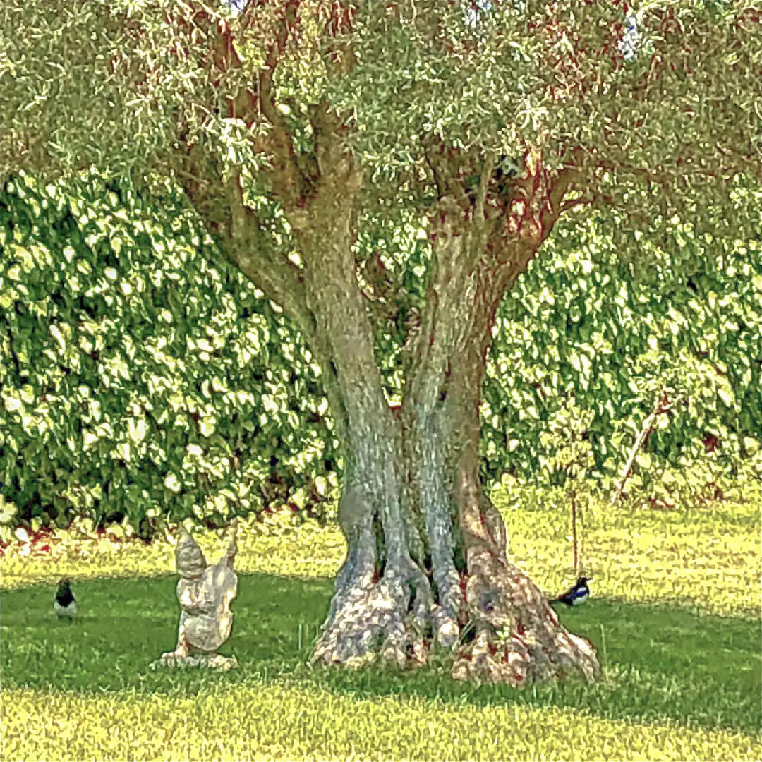Jardí de Casa o xalet en venda en Galindo y Perahuy