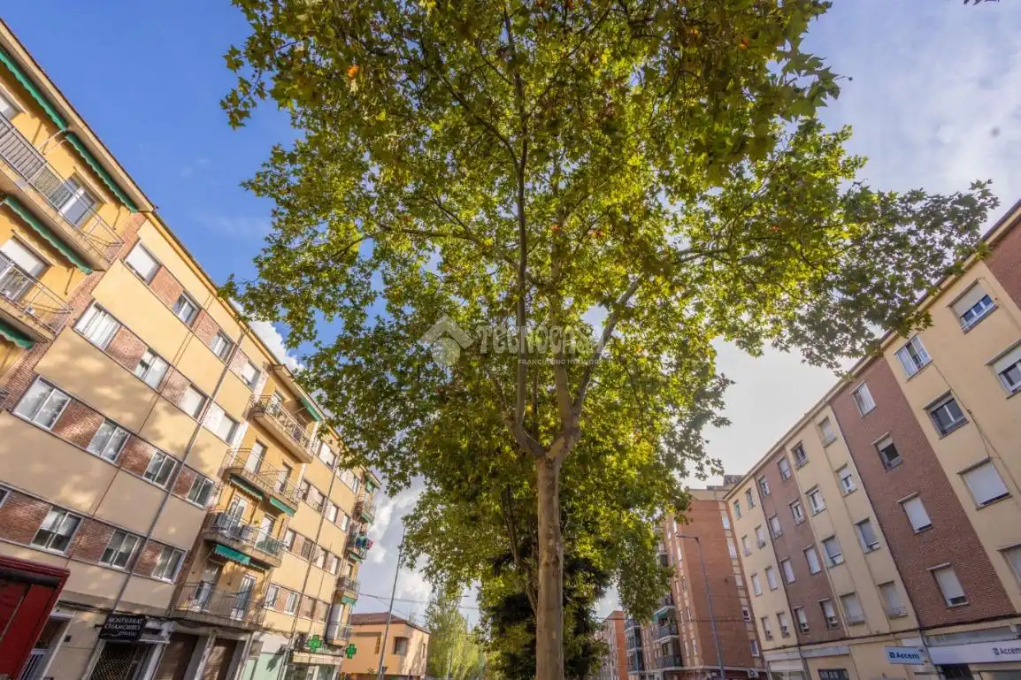 Außenansicht von Wohnung zur Miete in Garrido