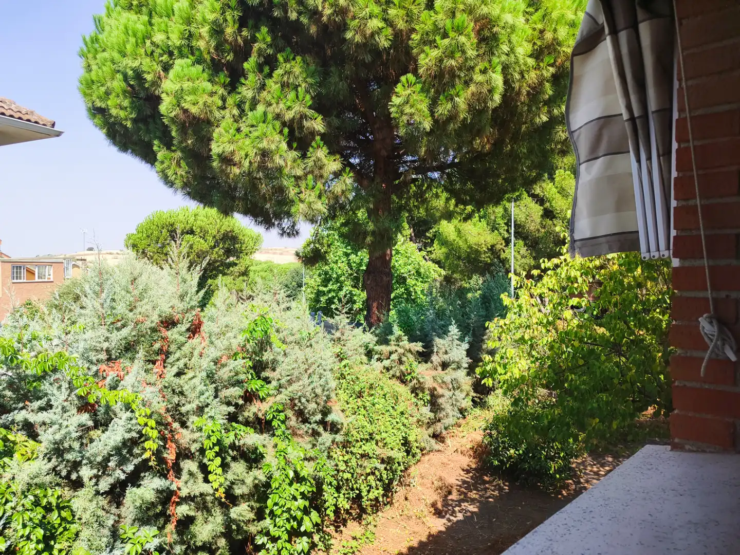 Villa mit Garten zum Verkauf in Calle Álamo 3, imagen 31