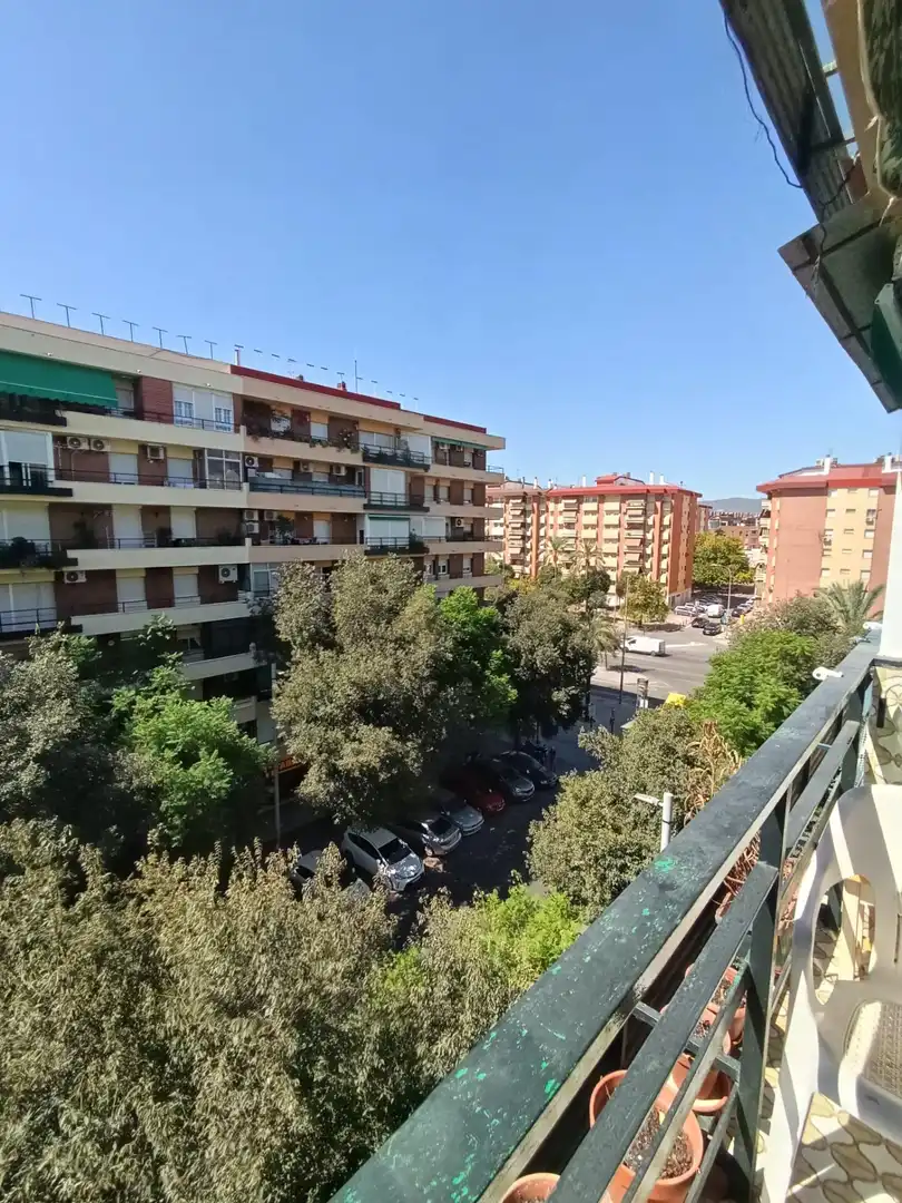 Pis amb terrassa en venda a Poniente-Sur