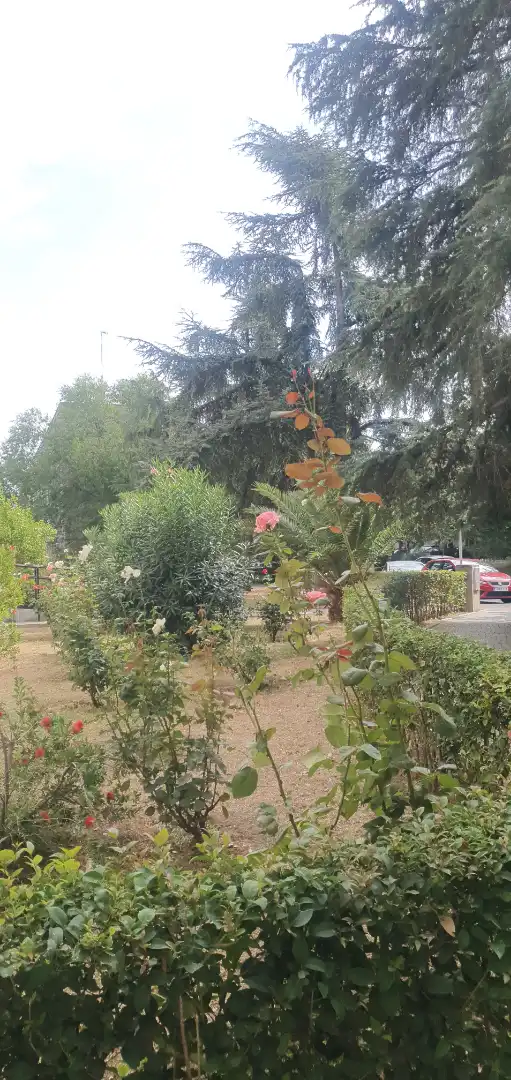 Flat with garden for sale in Calle del General Cadenas Campos 34, imagen 32