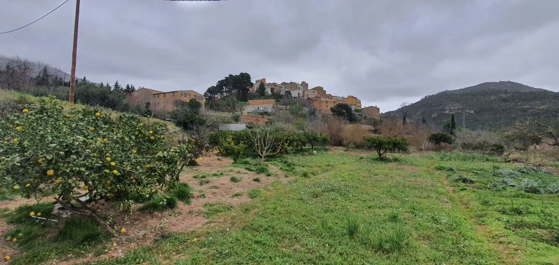 Casa o xalet en venda en Alfara de Carles