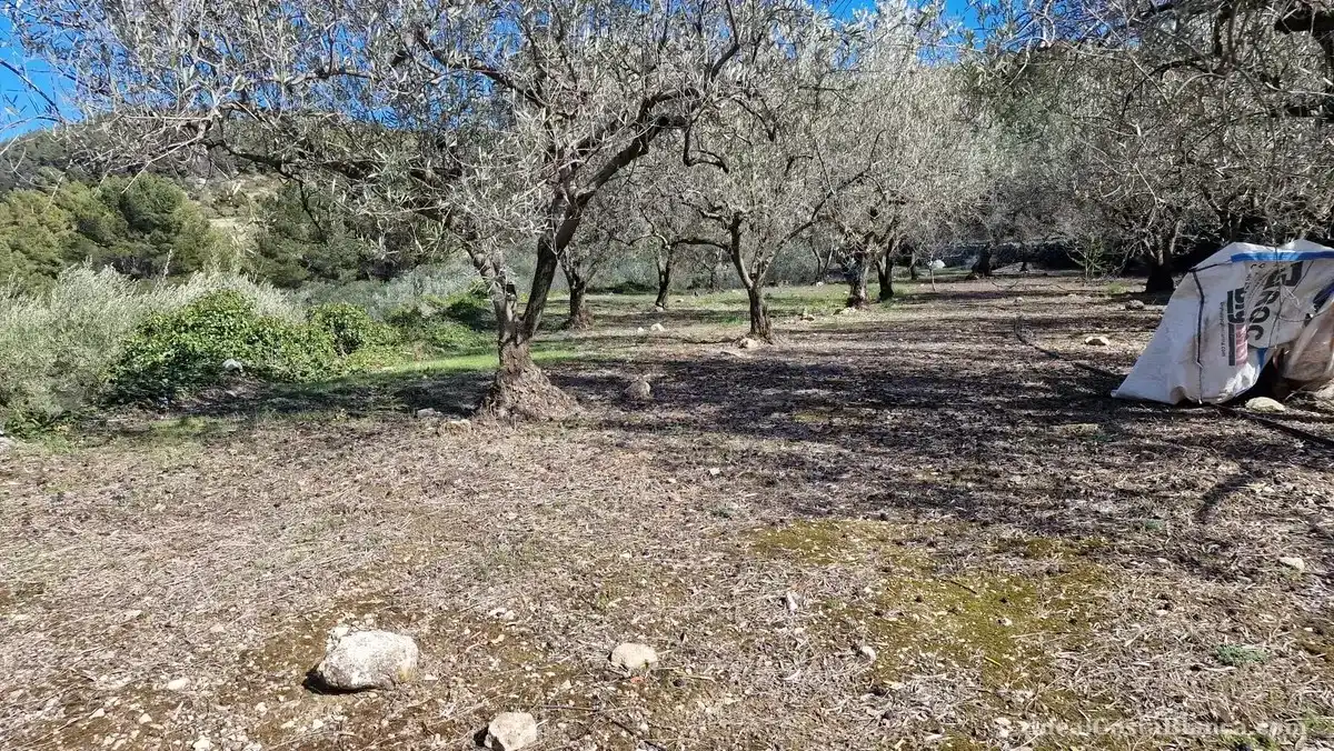 Maison rustique à vendre à Confrides, imagen 25