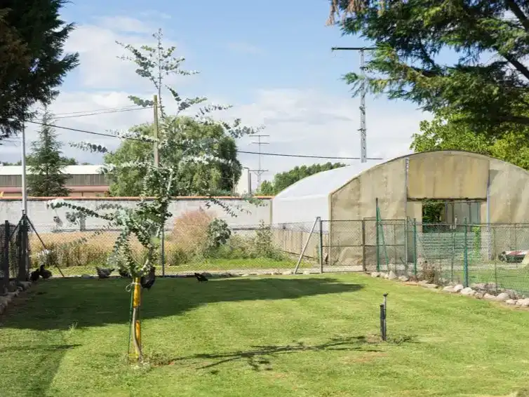 Jardí de Casa o xalet en venda en Ponferrada amb Piscina i Balcó