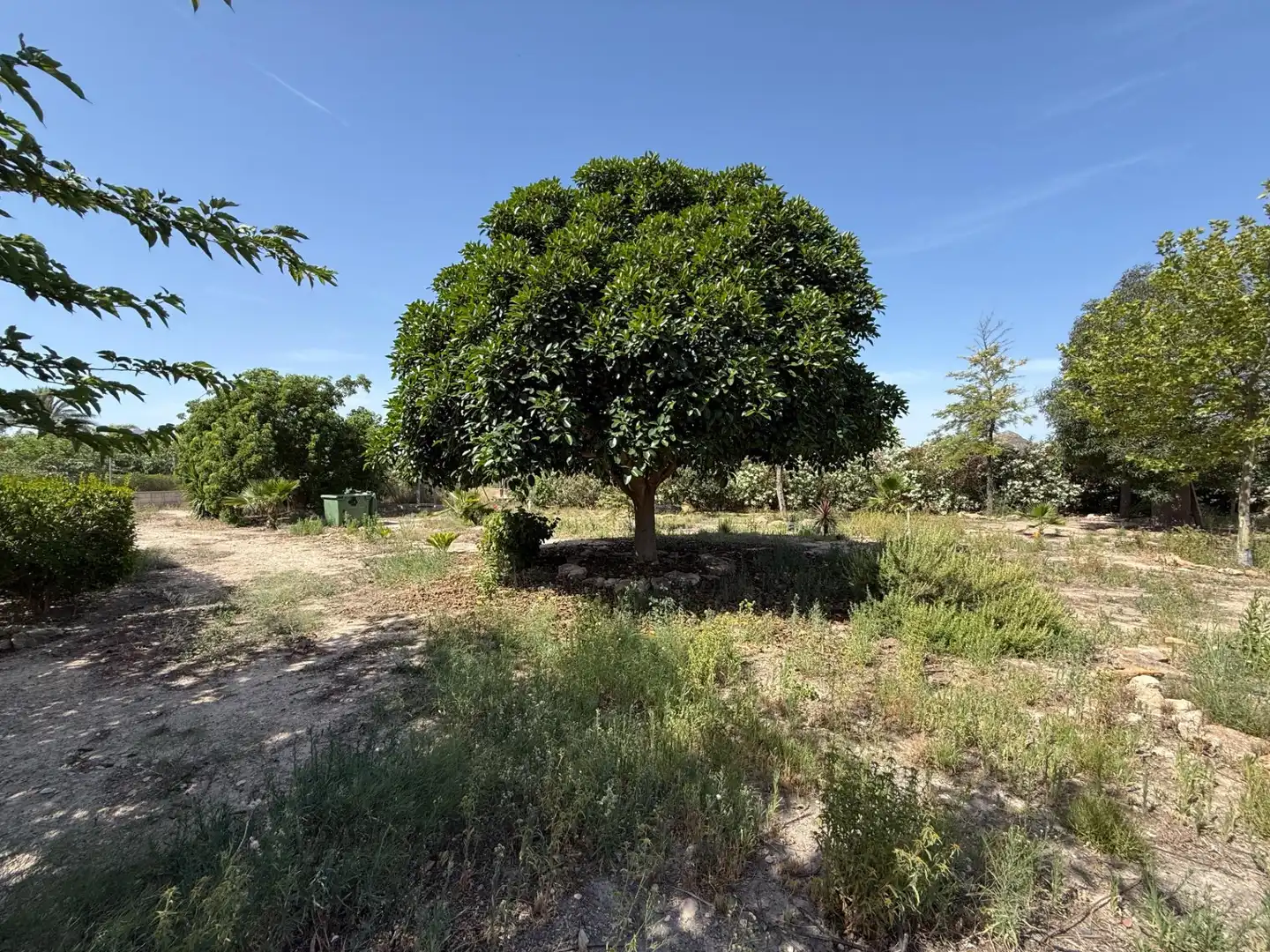 Casa o chalet en venta en Agost con Terraza y Piscina
