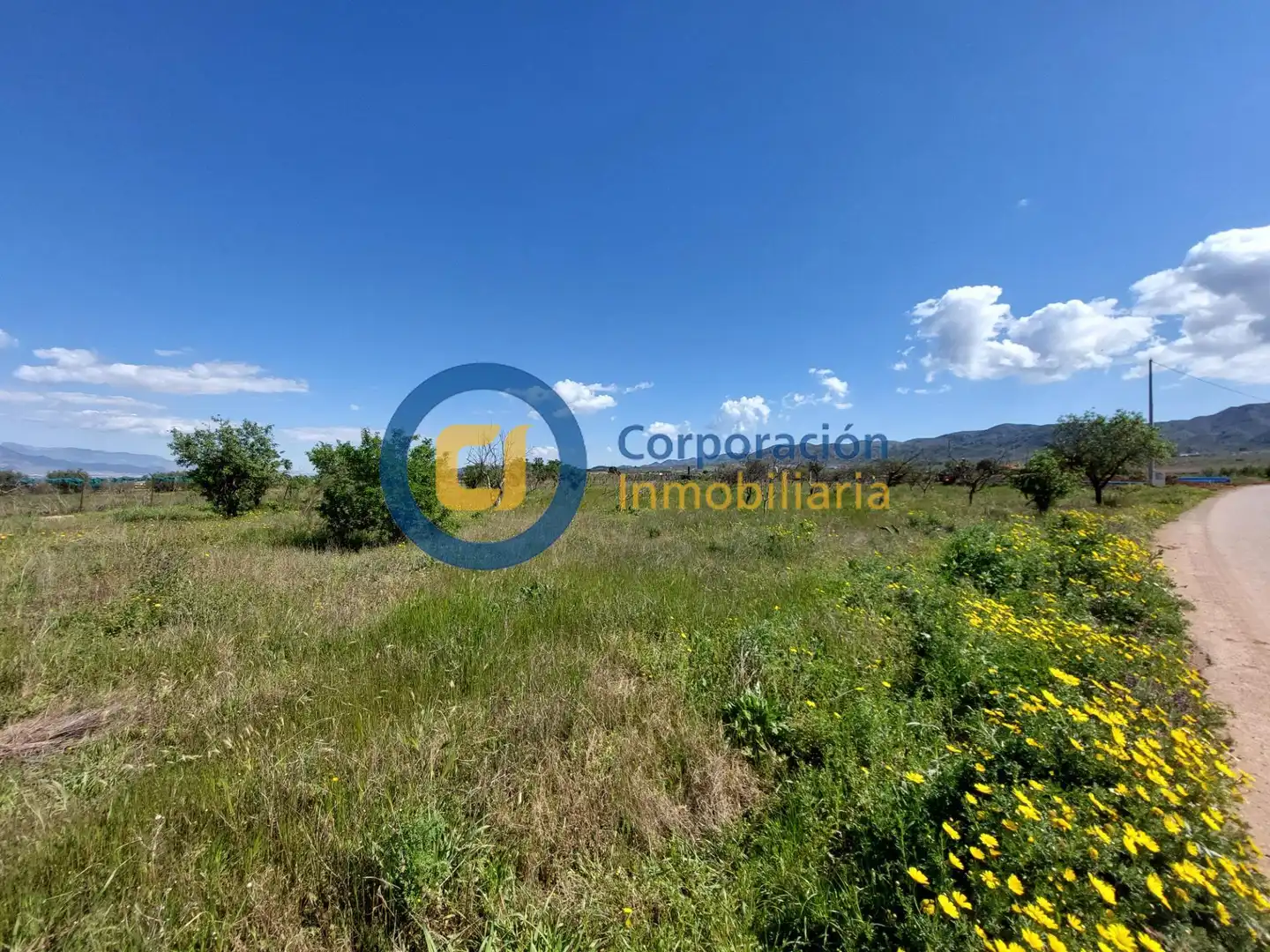 Residential land for sale in Pedanías Sur, imagen 3