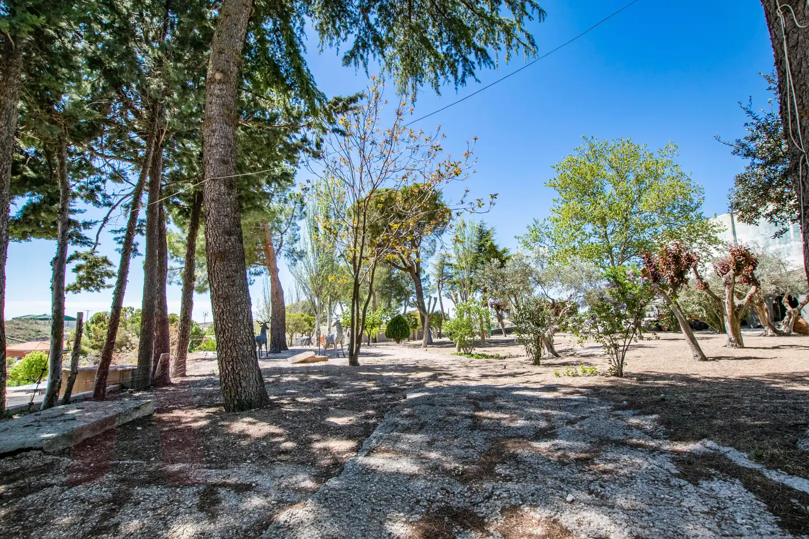 Casa o chalet en venta en Driebes