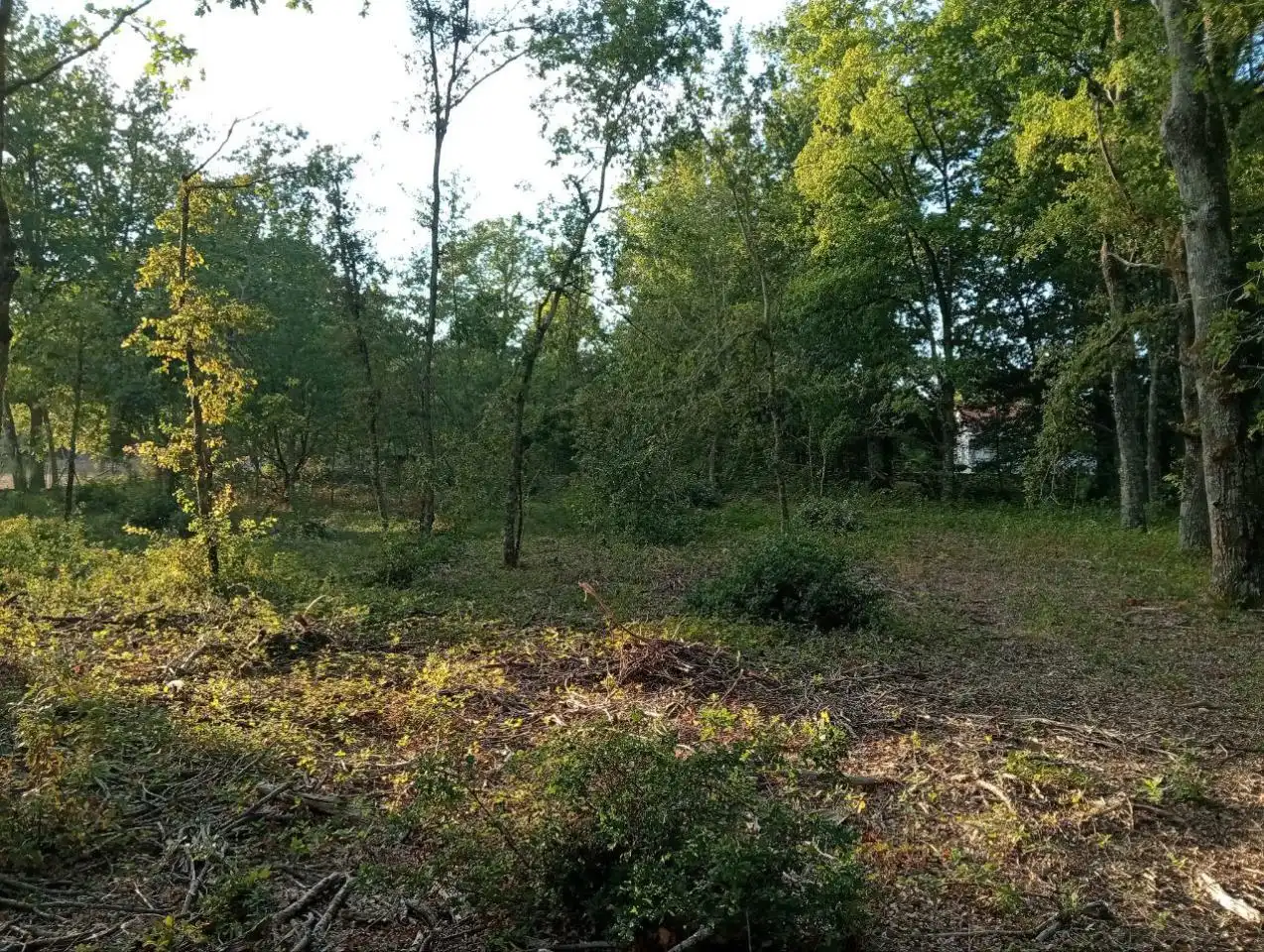 Terreni e lotti in vendita a Nogueira de Ramuín, imagen 14