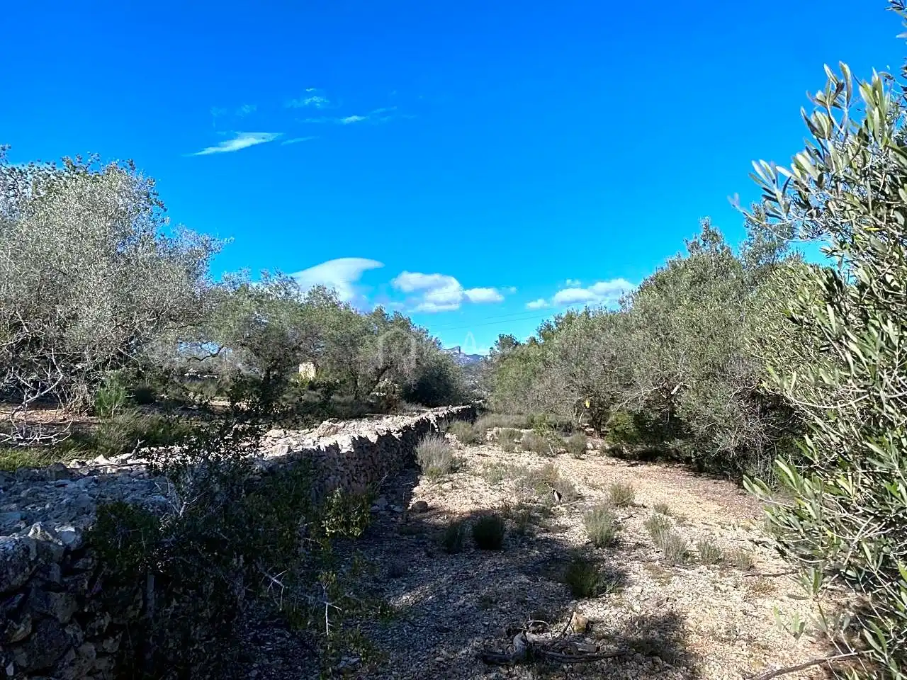 Terreno rustico in vendita a Aubachs, imagen 18