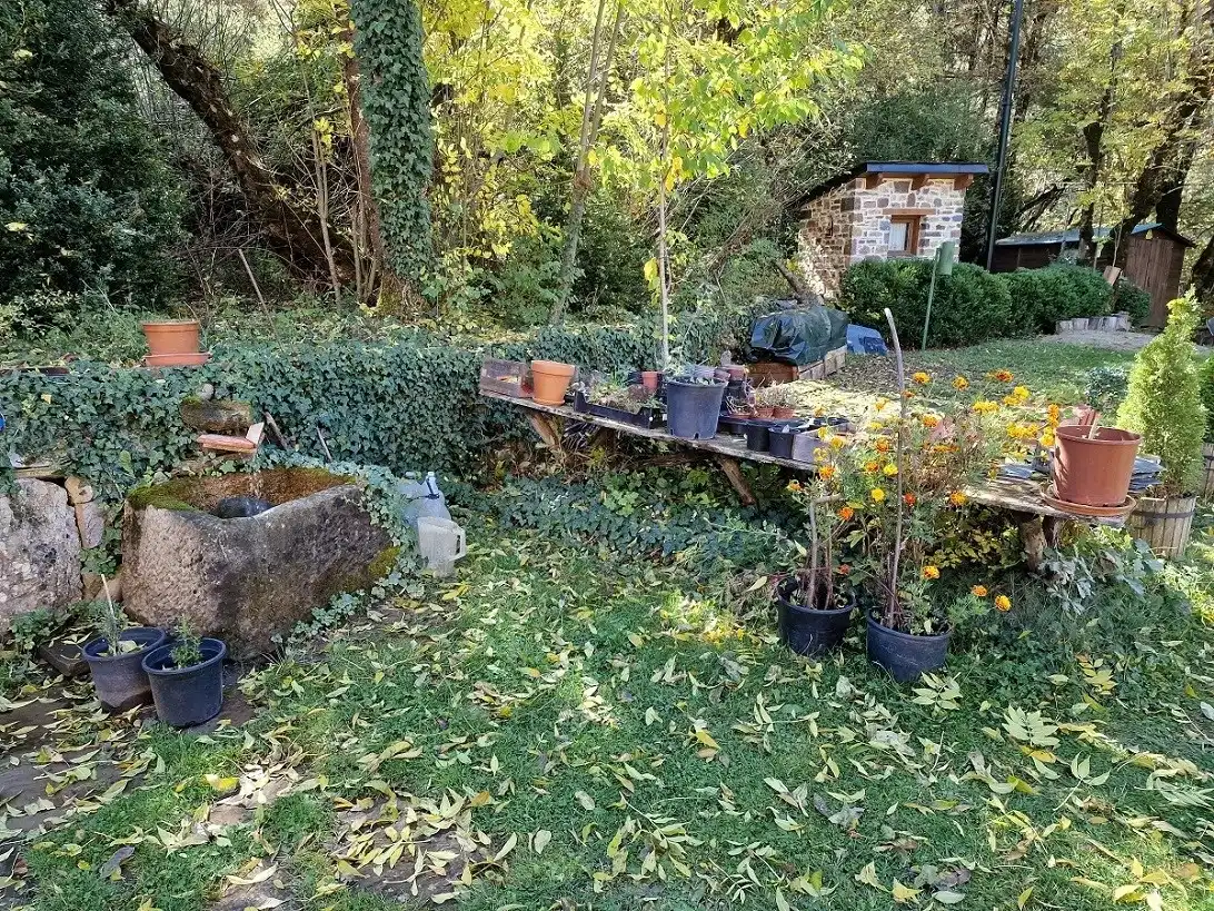 Jardí de Casa o xalet en venda en Benasque amb Calefacció, Jardí privat i Parquet