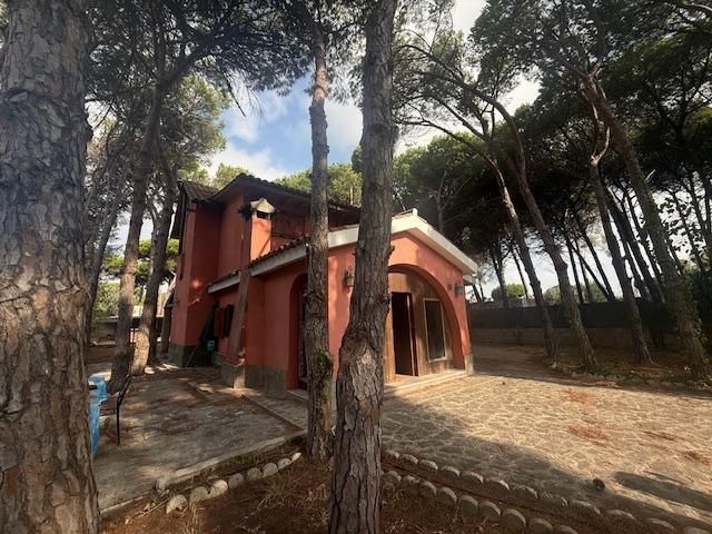 Exterior view of House or chalet for sale in Chiclana de la Frontera  with Private garden, Parquet flooring and Terrace