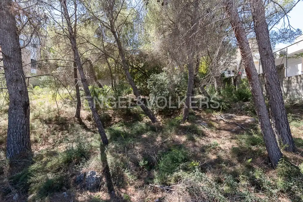 Terrenys i solars en venda a Carcaixent, imagen 5