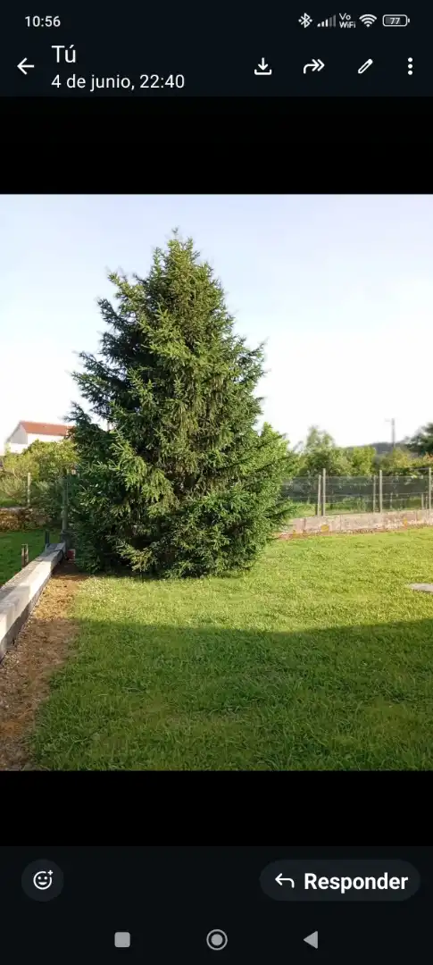 Casa o chalet en venta en Rois con Calefacción, Jardín privado y Terraza