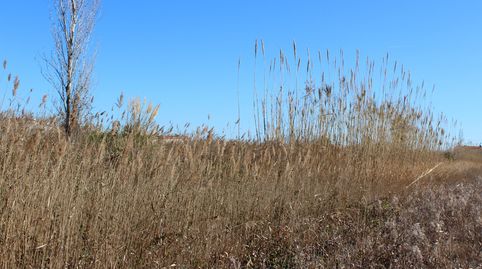 Foto 5 von Residential zum Verkauf in Parque Ribalta - Plaza de Toros, Castellón de la Plana / Castelló de la Plana