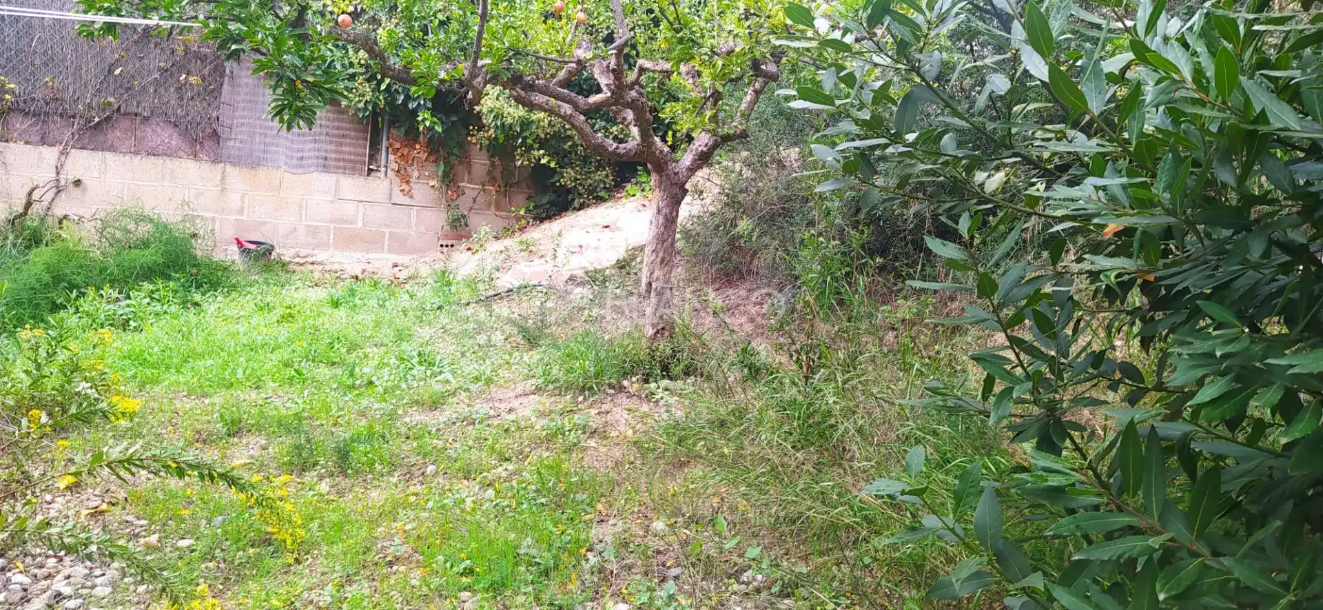 Terreno residencial en venta en Piera, imagen 6