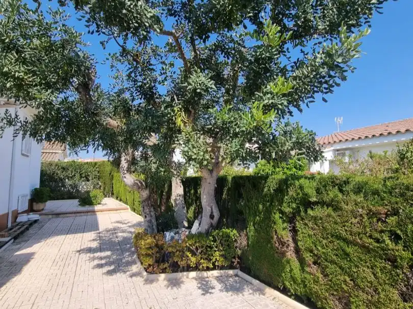 Chalet con jardín en venta en garbi 24, imagen 25
