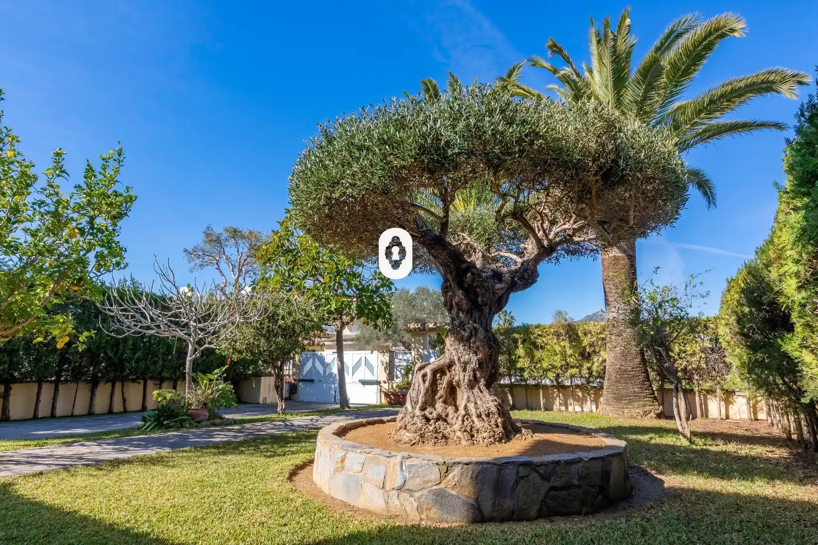 Vista exterior de Casa o xalet en venda en Alcúdia amb Aire condicionat, Jardí privat i Terrassa