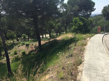 Grundstücke und Bauplätze zum Verkauf in Mas Mora - Sant Daniel