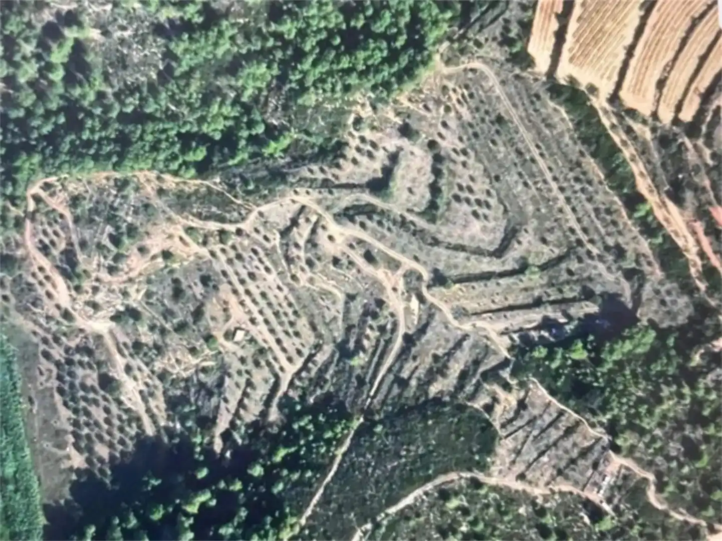 Finca rústica en venda en Salomó