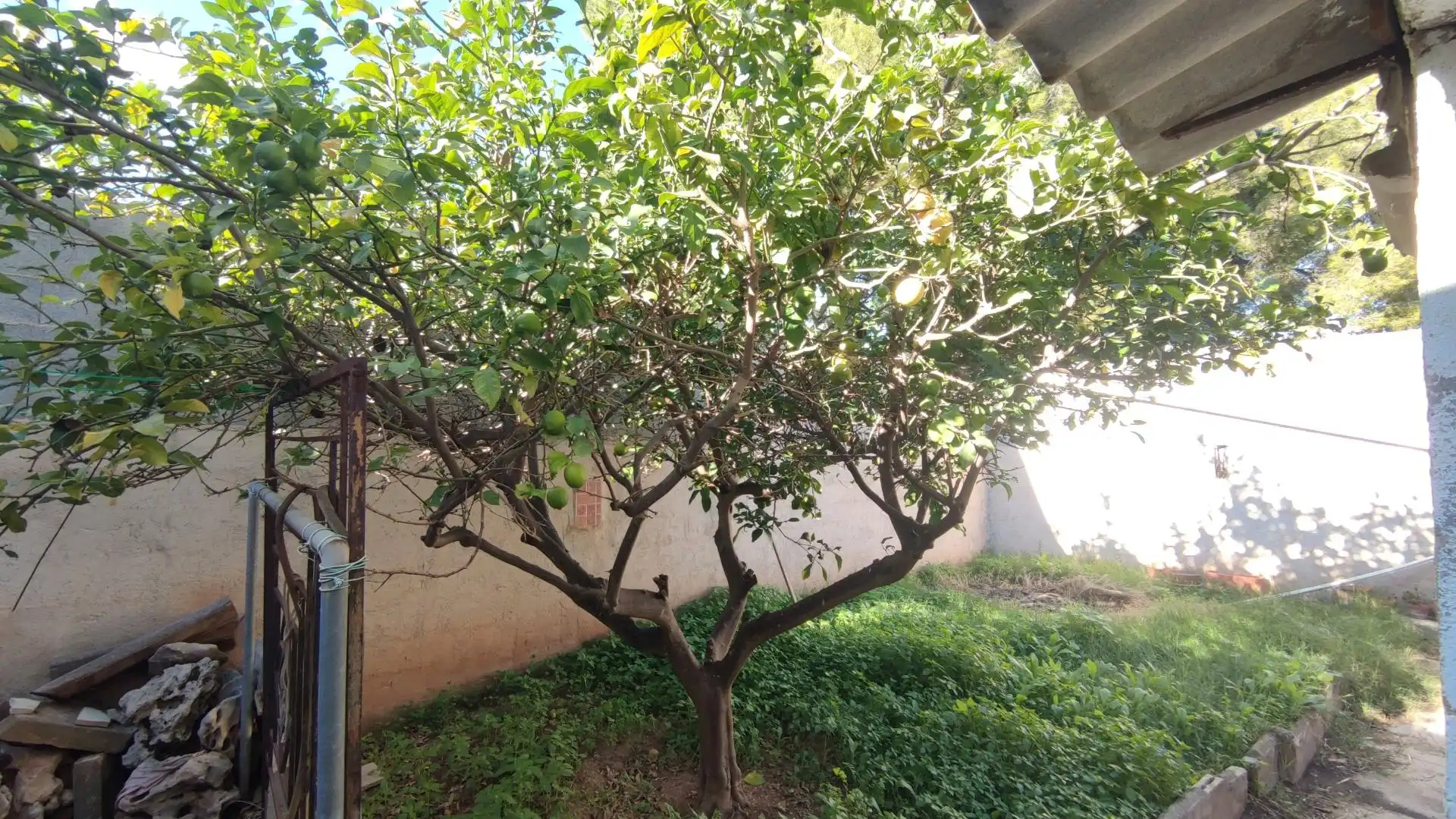 Gewerbefläche zum Verkauf in Santa Ponça, imagen 28
