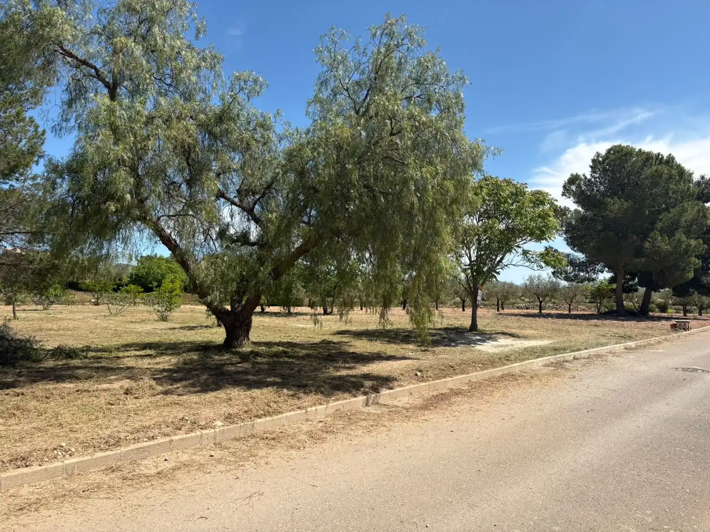 Residential land for sale in El Pinós / Pinoso, imagen 16