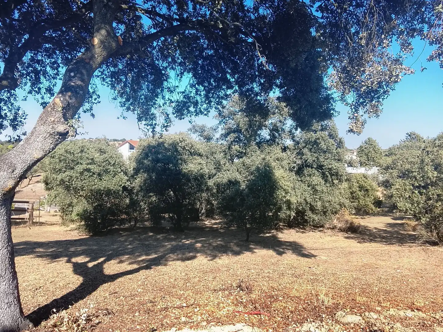 Terreni e lotti in vendita a Sevilla la Nueva, imagen 2