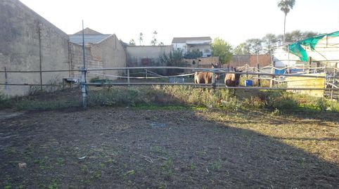 Foto 3 von Residential zum Verkauf in Carretera Cr. Circunvalación C N 431, La Palma del Condado, Huelva
