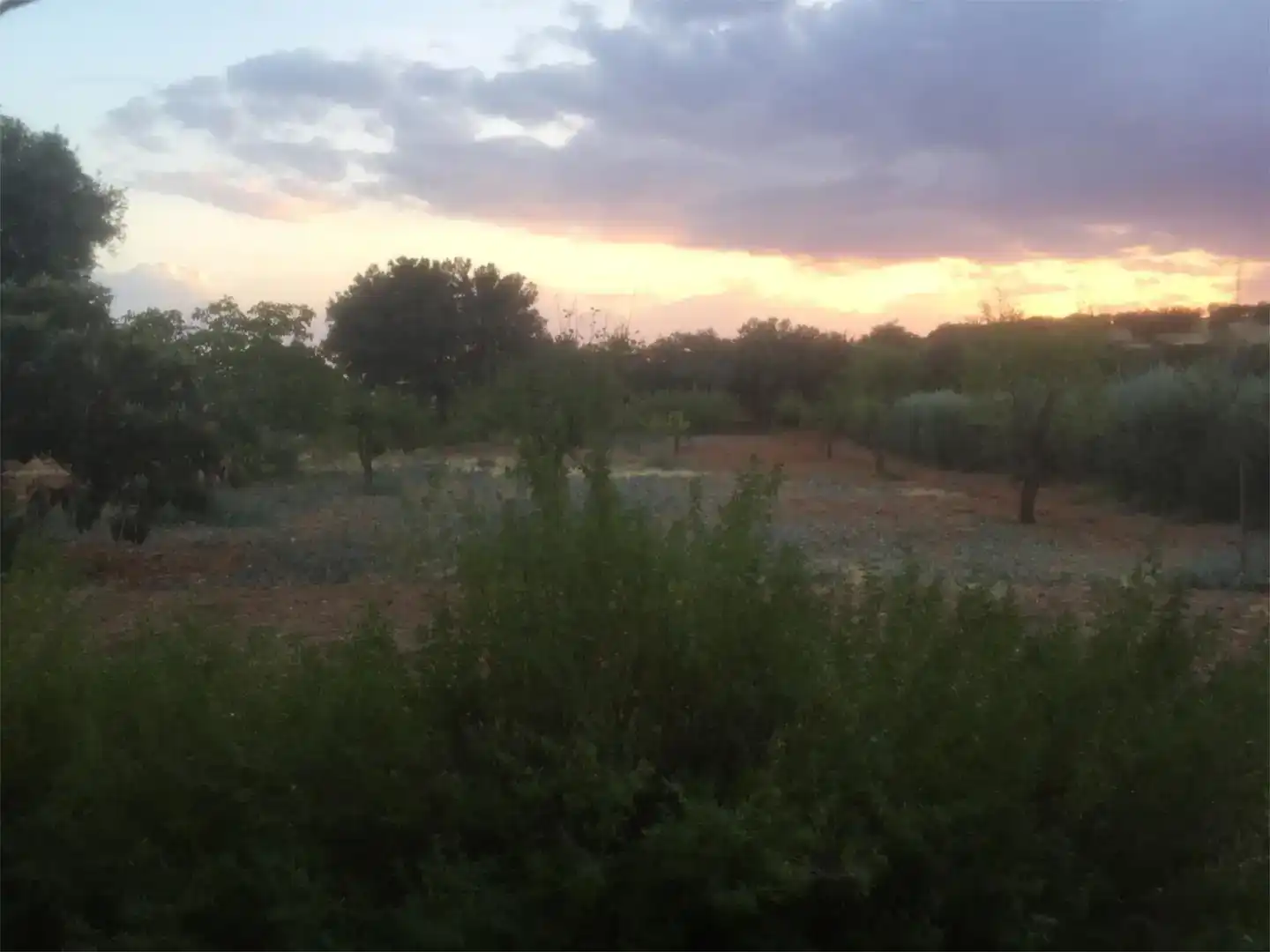 Piso en venta en Pozuelo de Calatrava, Ciudad Real