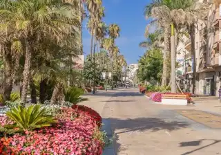 Local comercial en venda a Estepona Pueblo, imagen 4