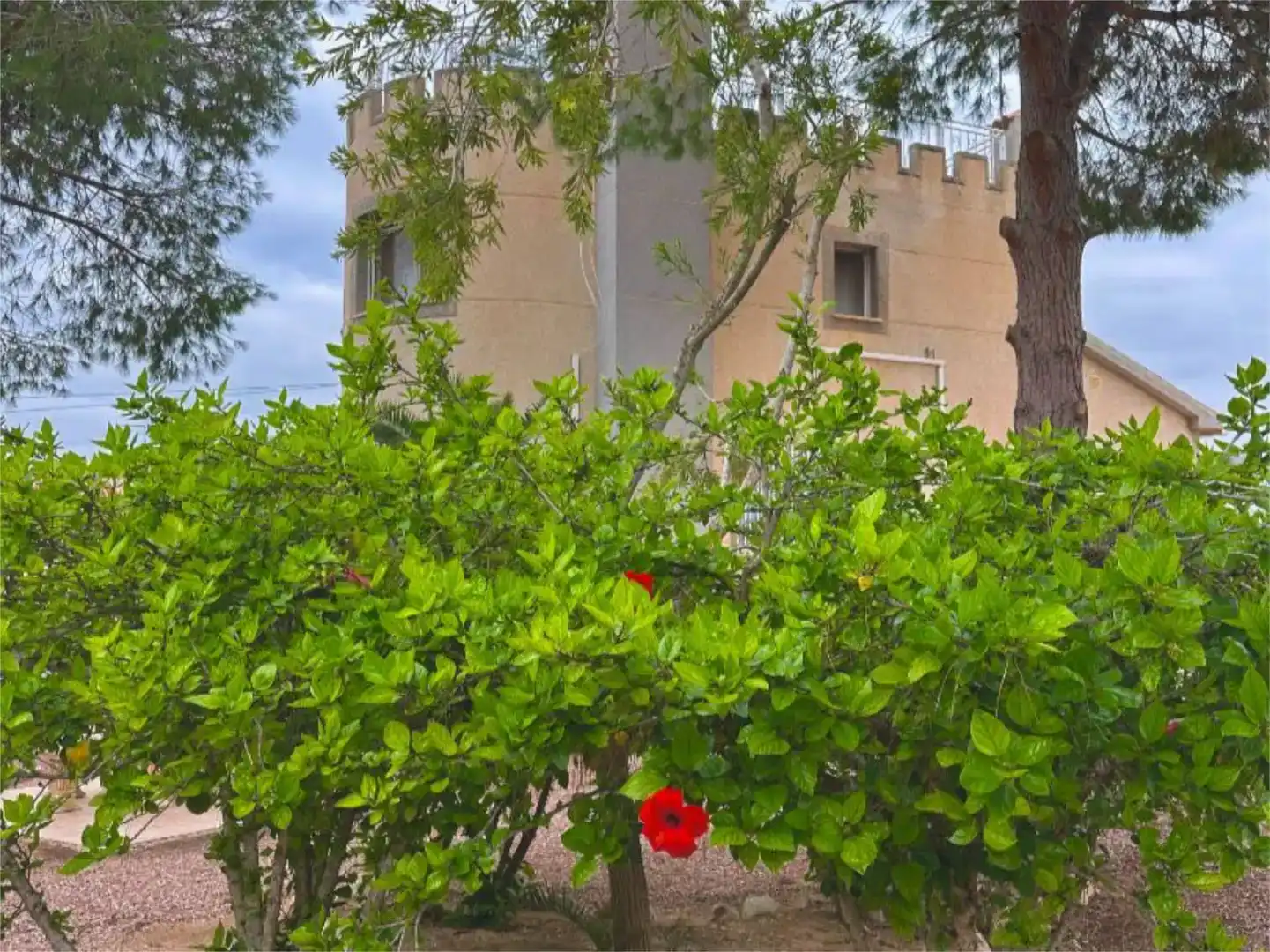 Vista exterior de Casa o xalet en venda en Rojales amb Aire condicionat, Jardí privat i Traster